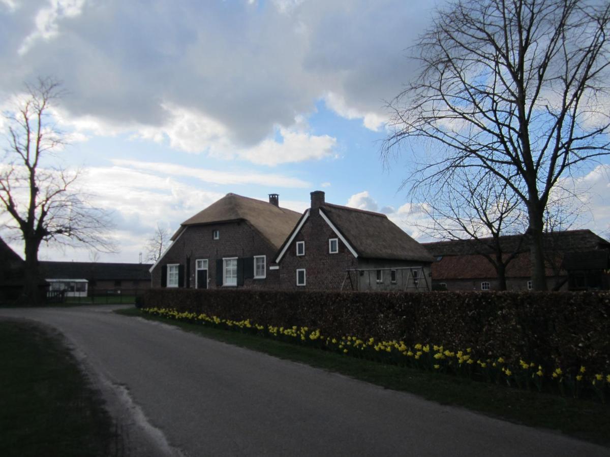 De Martiene Plats - Bed & Breakfast Merselo Kültér fotó